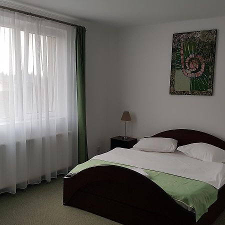 Pension Yasmine Timisoara Exterior photo